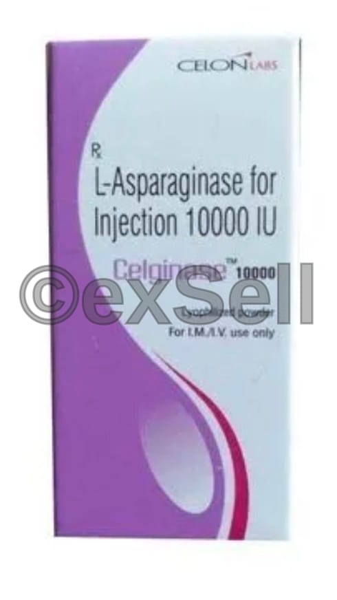 Celginase 10000IU Injection 10000IU Vial – Asparaginase (10000IU)